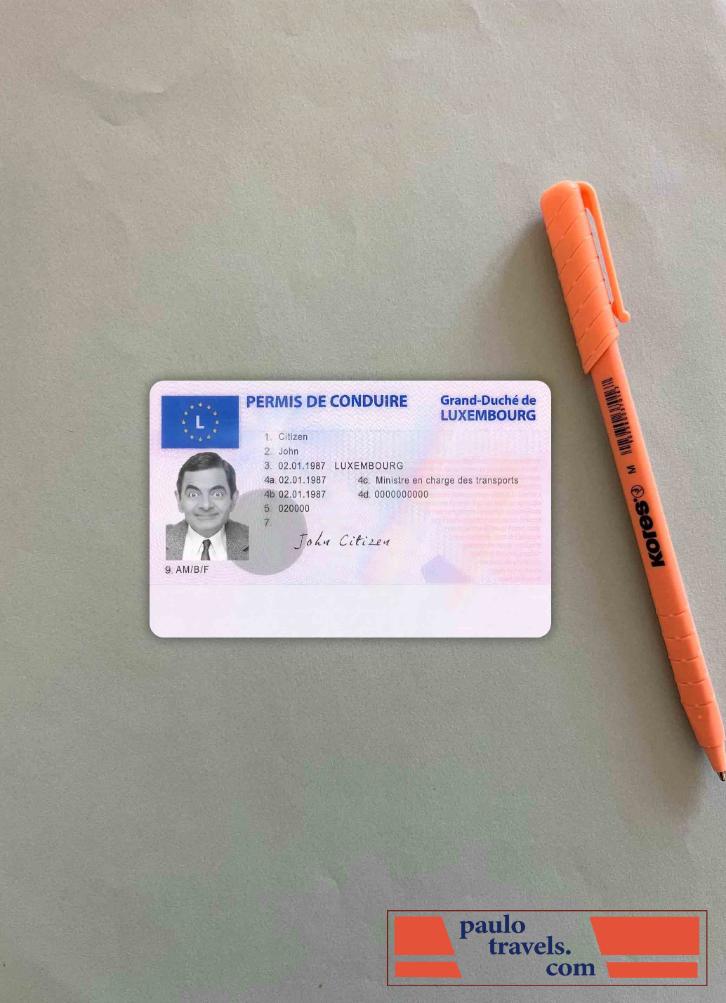 Luxembourg driving license photolook FRONT PSD template